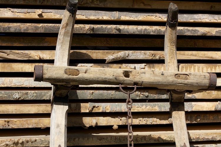 Holz aus Bayern, nachhaltig